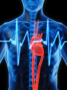 ¿Cuáles son los avances tecnológicos en cardiología?