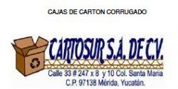 cartosur