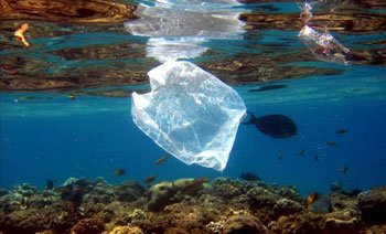 Contaminación por bolsas de plástico