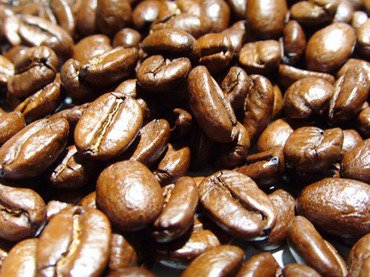 Asciende Chiapas al primer lugar mundial en café orgánico
