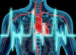 ¿Cuáles son los avances más prometedores de la cardiología?