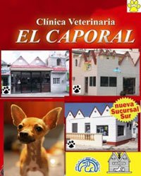 elcaporal3