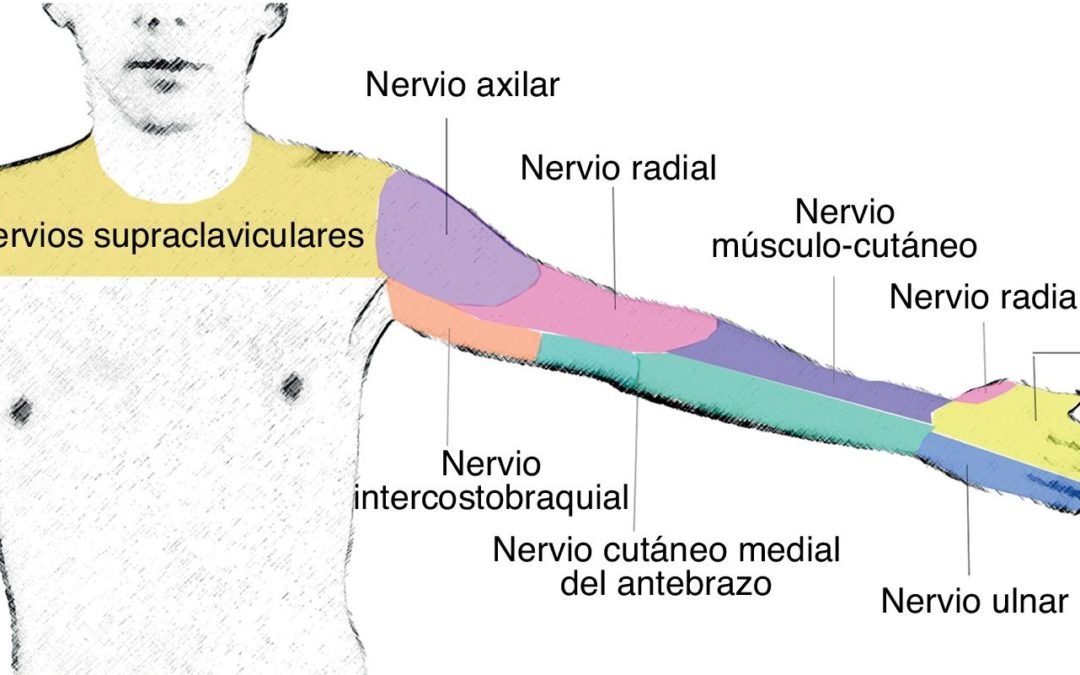 ¿Qué es un bloqueo nervioso?